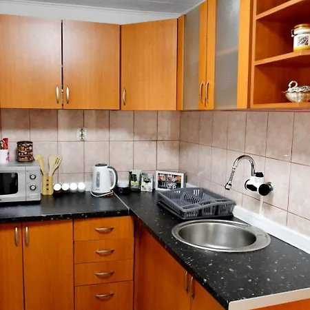 White Housse - Entire In Villa Sarajevo